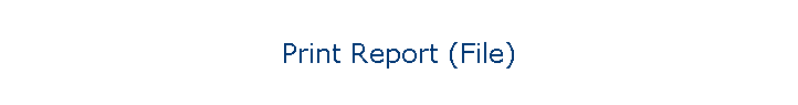 Print Report (File)