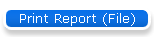 Print Report (File)