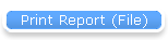 Print Report (File)