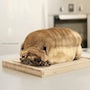 Gouroubignol