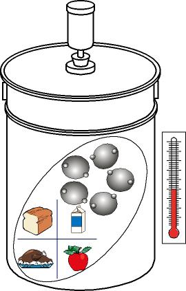 1 8 1 FactorsForAGoodFermentation1.jpg