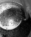 Vignette pour la version du 14 mai 2010 à 19:50