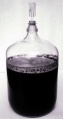 1 9 3 ConductingFermentation4.jpg